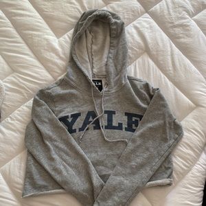Cropped Yale sweatshirt
